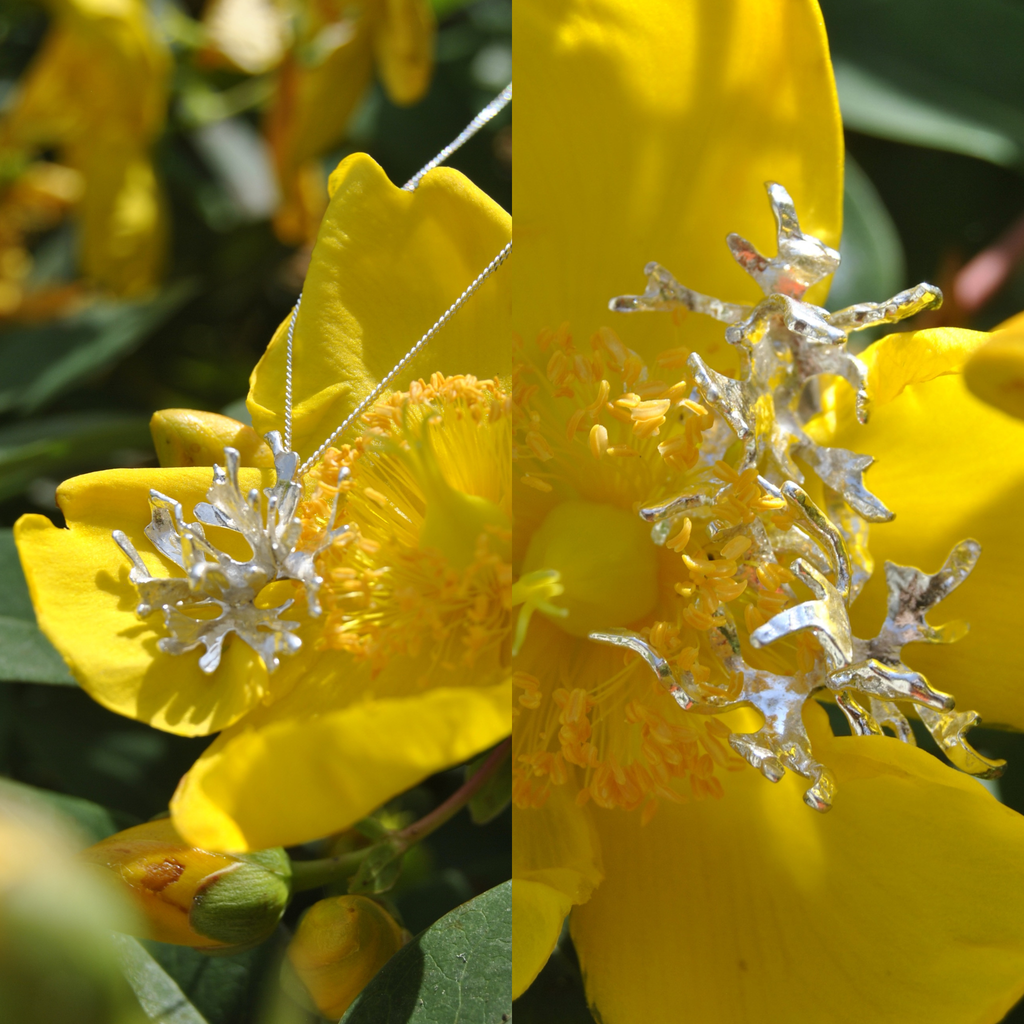 Le Duo Signature Luda - Architecture Vivante