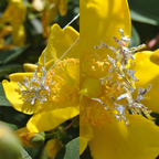 Le Duo Signature Luda - Architecture Vivante