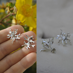 Le Duo Signature Luda - Architecture Vivante