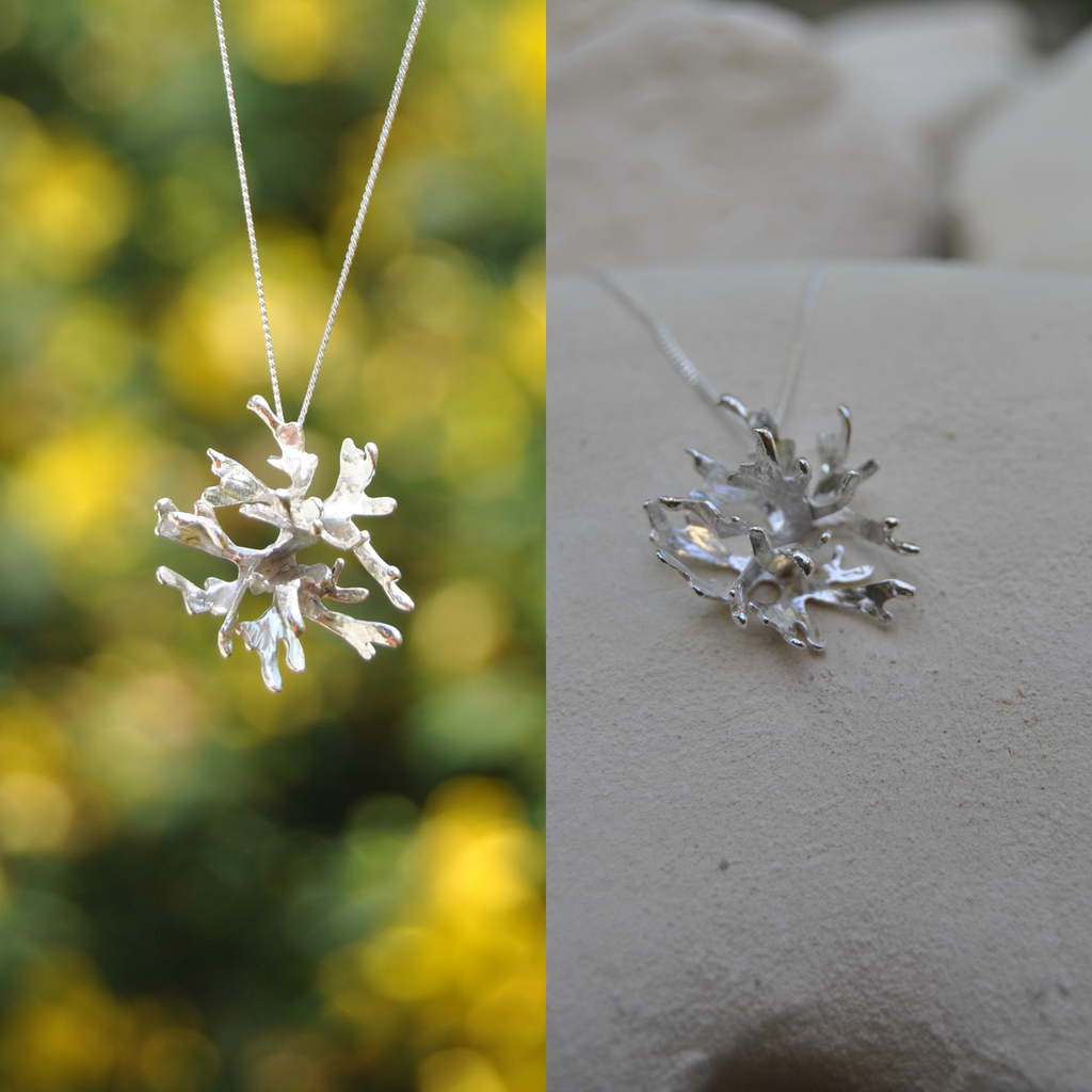 Le Duo Signature Luda - Architecture Vivante