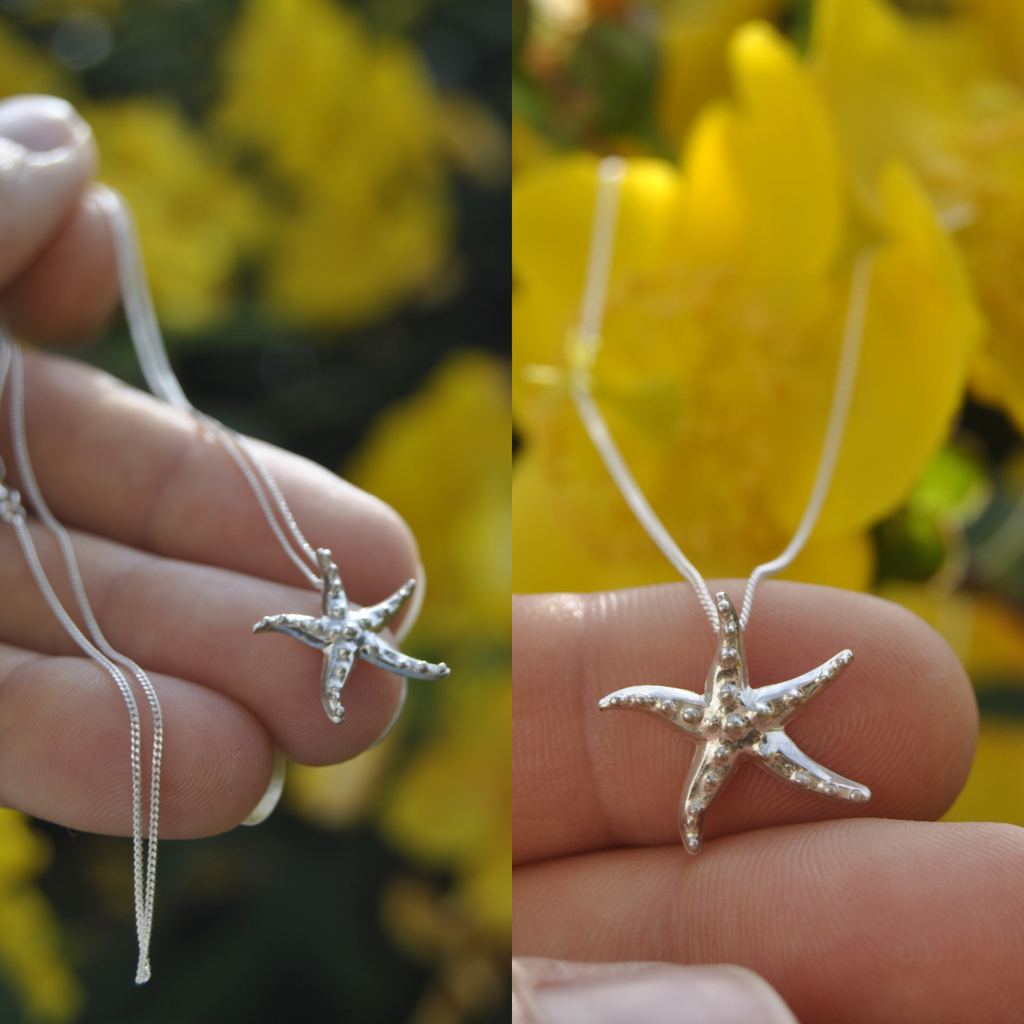 Le Trio Signature Luda – Étoile de Mer