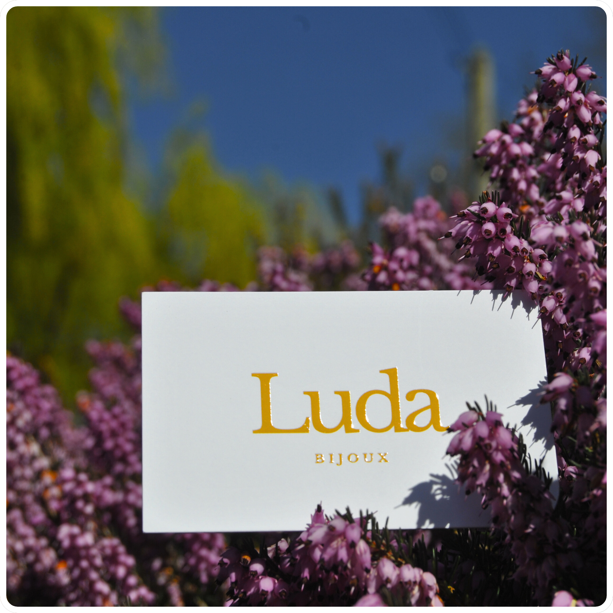 Carte cadeau Luda Bijoux 🎁