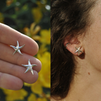 Le Trio Signature Luda – Étoile de Mer