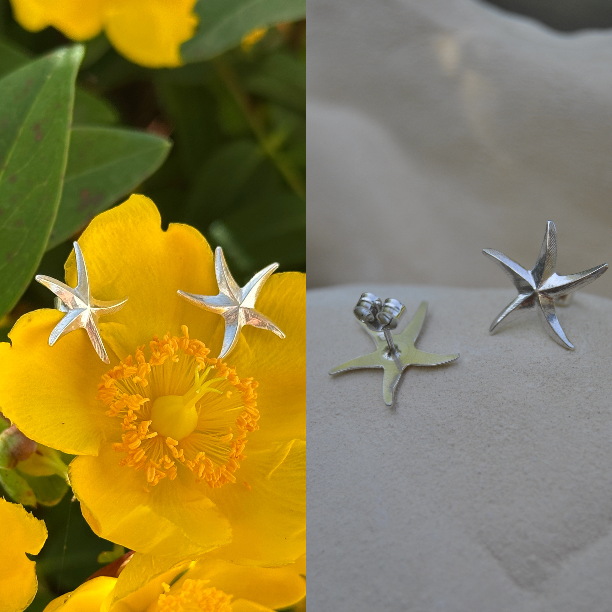 Le Trio Signature Luda – Étoile de Mer