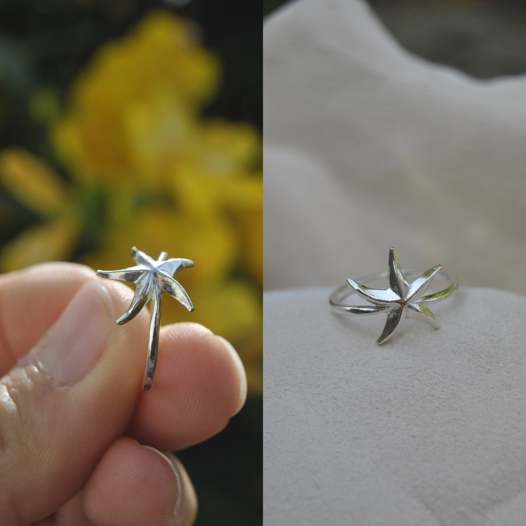 Le Trio Signature Luda – Étoile de Mer