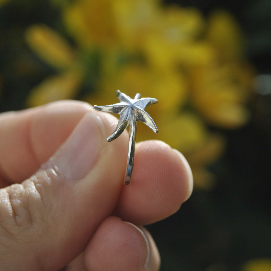 Le Trio Signature Luda – Étoile de Mer