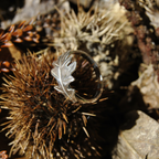 Bague - Feuille de chêne