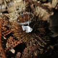 Bague Pampille - Feuille de ginkgo