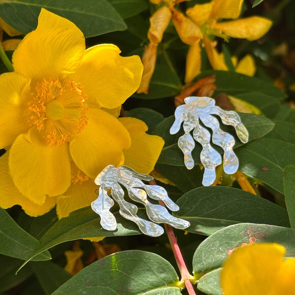Boucles D’oreilles - Alga