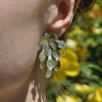 Boucles D’oreilles - Alga