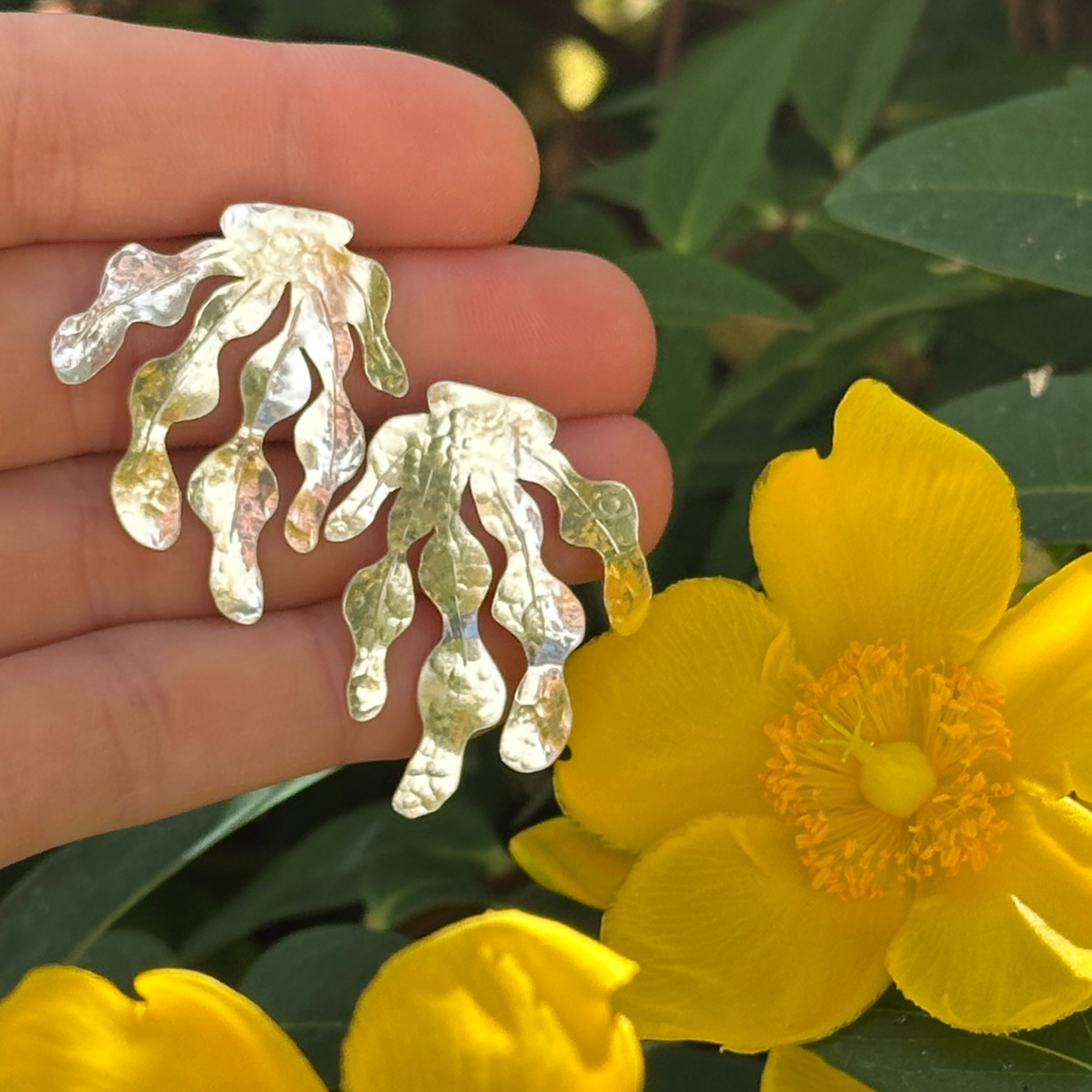 Boucles D’oreilles - Alga