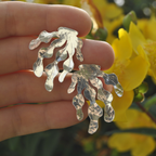 Boucles D’oreilles - Alga