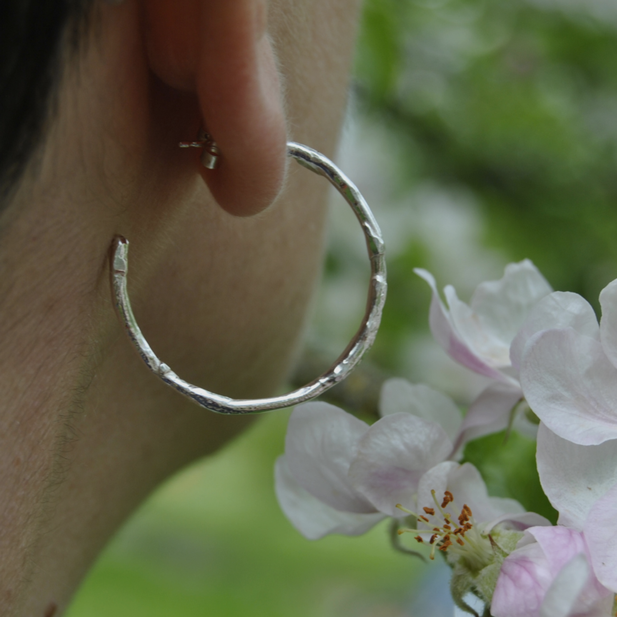 Les créoles - Émergence