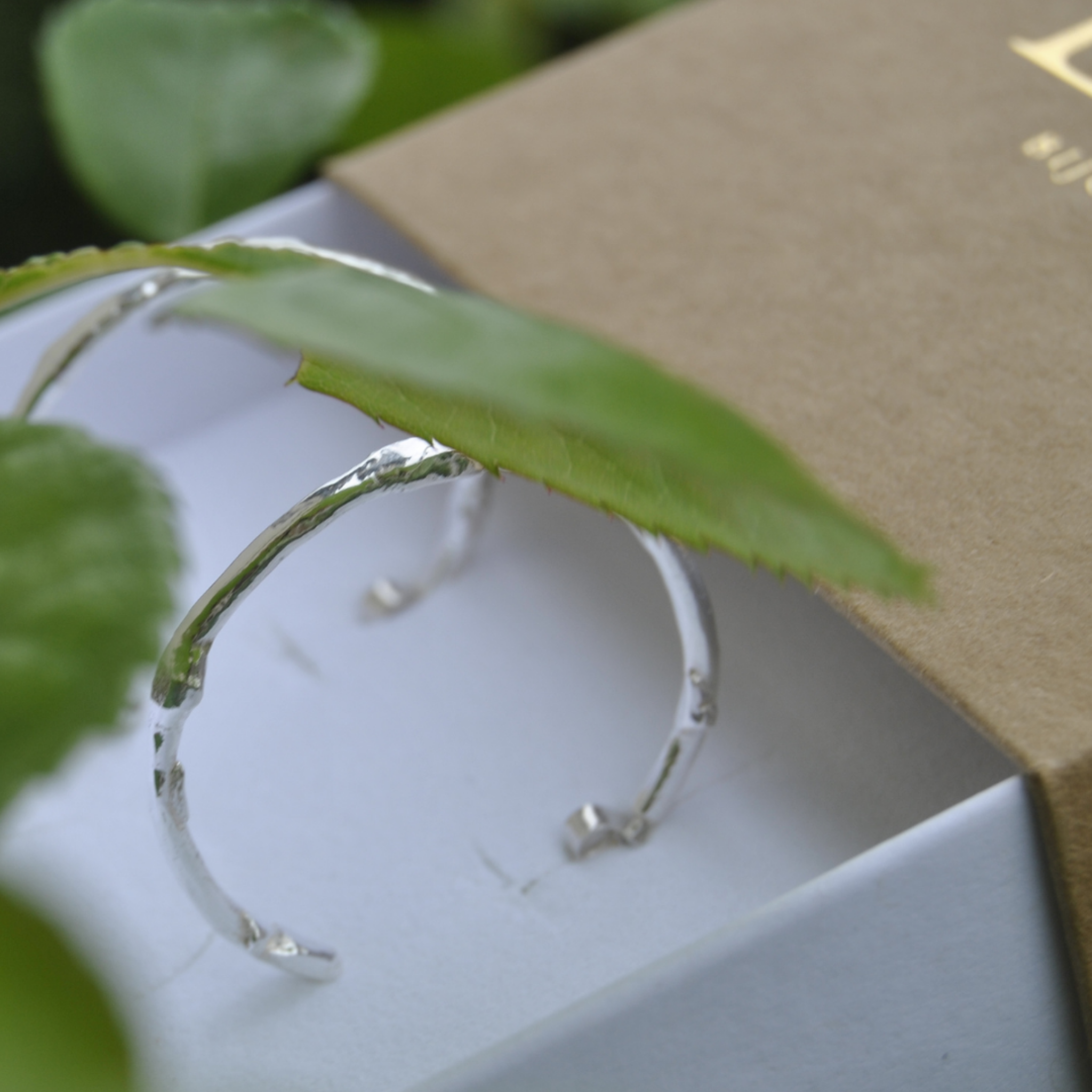 Les créoles - Émergence