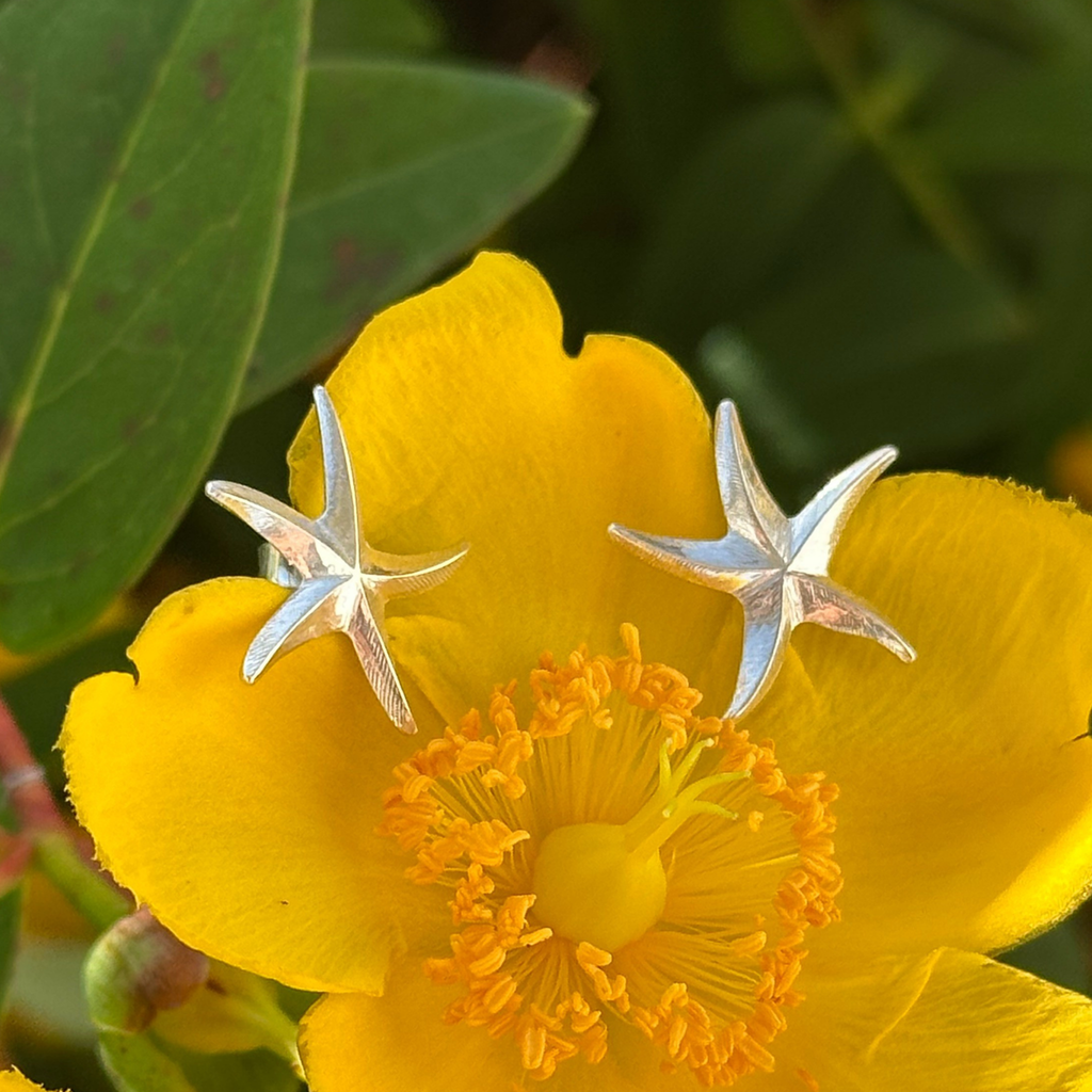 Boucles d'oreilles - Étoile de mer