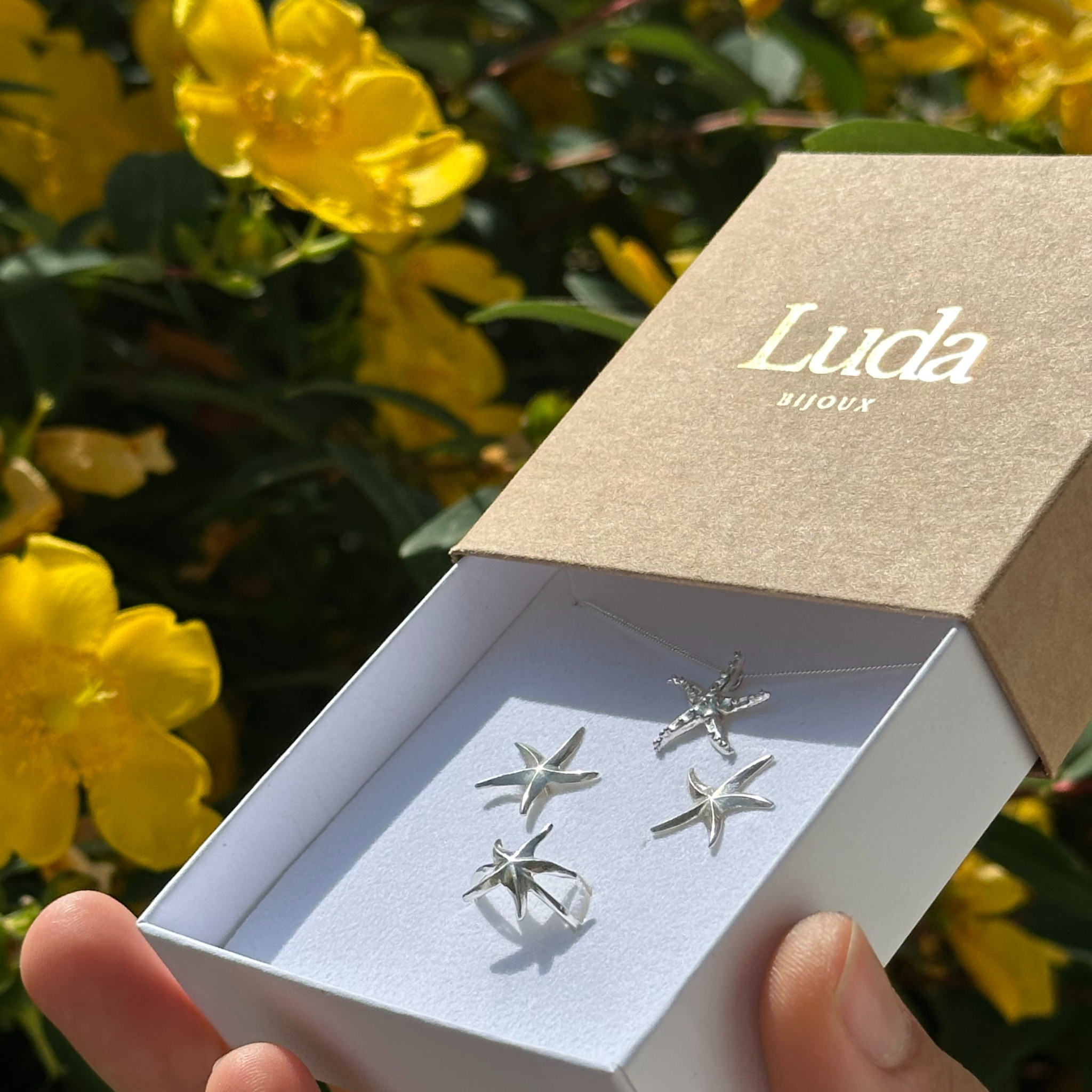 Boucles d'oreilles - Étoile de mer