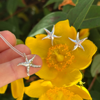 Boucles d'oreilles - Étoile de mer