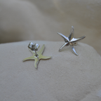 Boucles d'oreilles - Étoile de mer