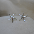 Boucles d'oreilles - Étoile de mer