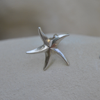 Boucles d'oreilles - Étoile de mer