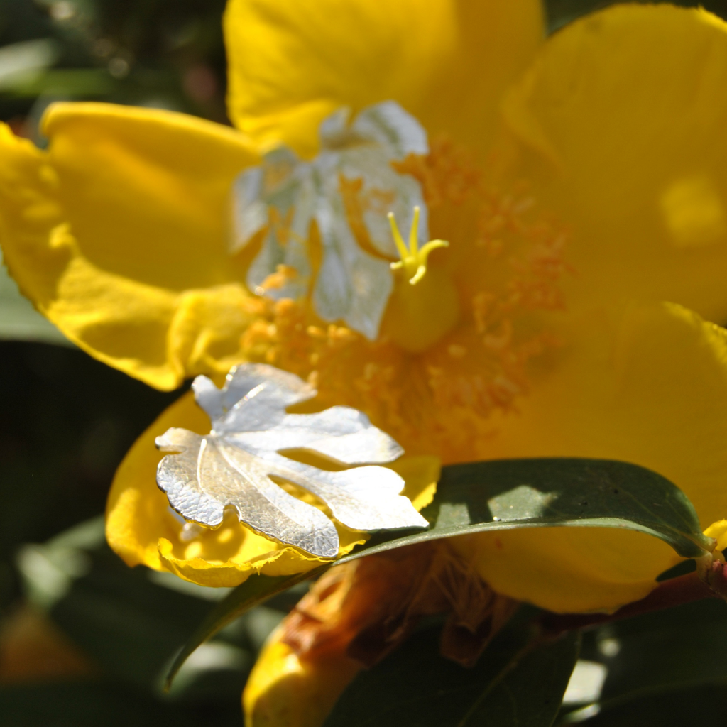 Boucles d’oreilles - Feuille de figuier