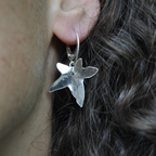 Boucles d’oreilles - Hedera