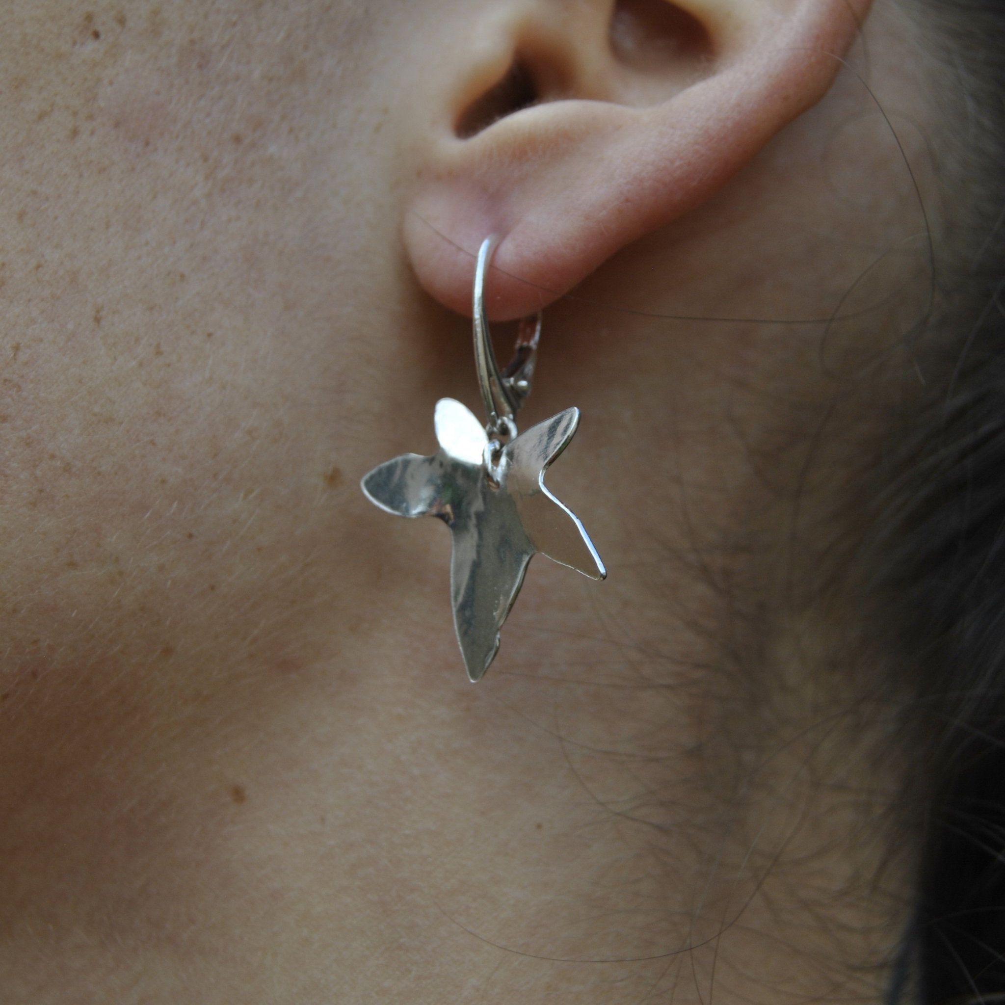 Boucles d’oreilles - Hedera