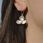 Boucles d'oreilles - Virginiana