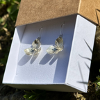 Boucles d'oreilles - Virginiana