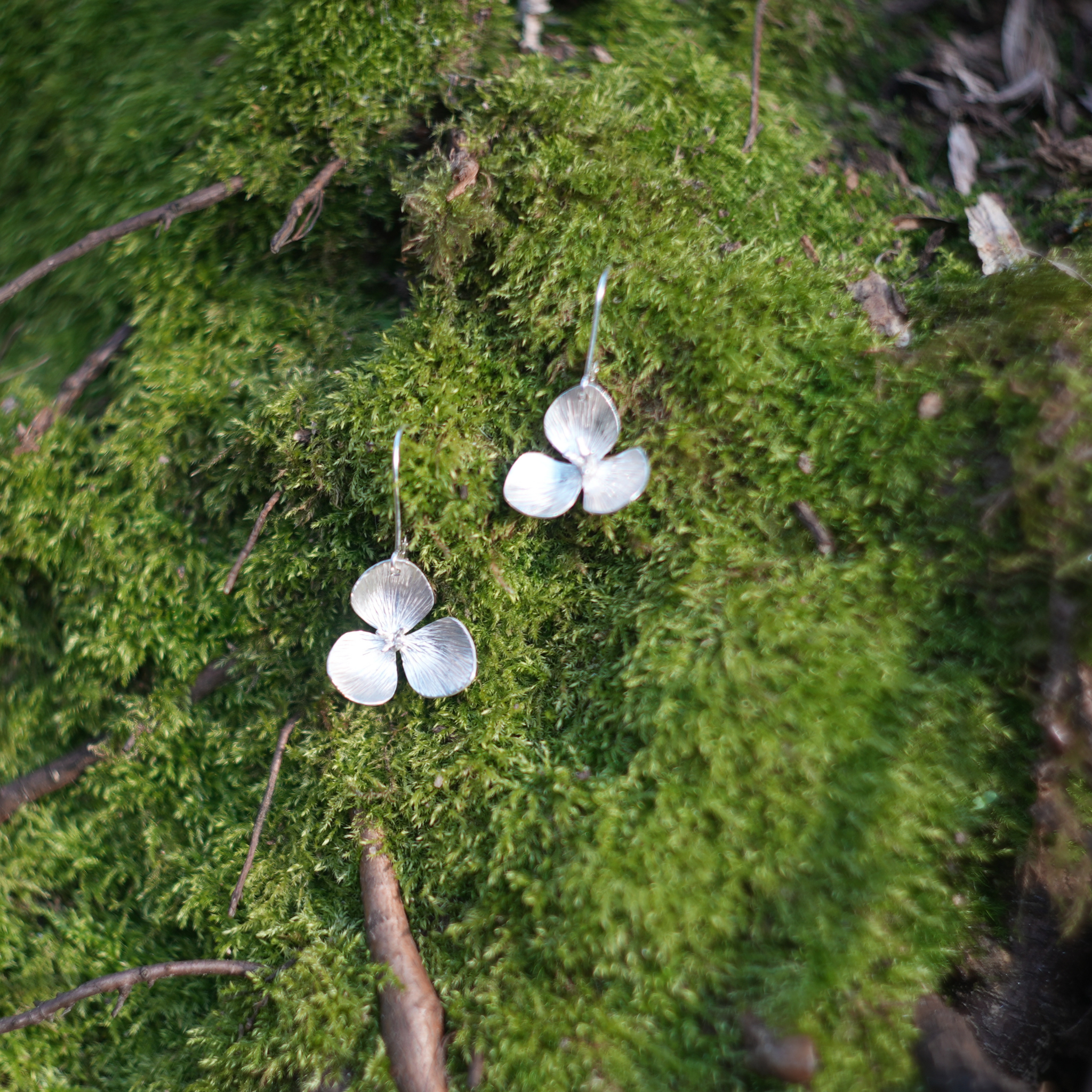 Boucles d'oreilles - Virginiana