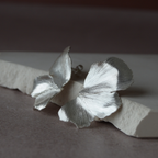 Boucles d’oreilles - Essence sauvage