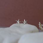 Boucles d'oreilles - Étoile de mer