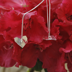 Collier cœur végétal