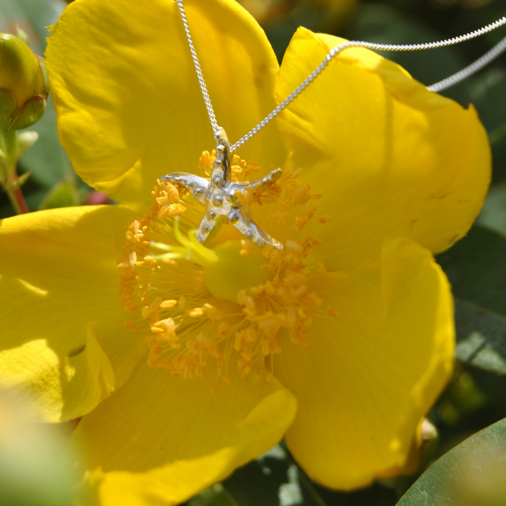 Collier Étoile de mer