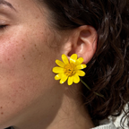 Les créoles Verna - Interchangeables