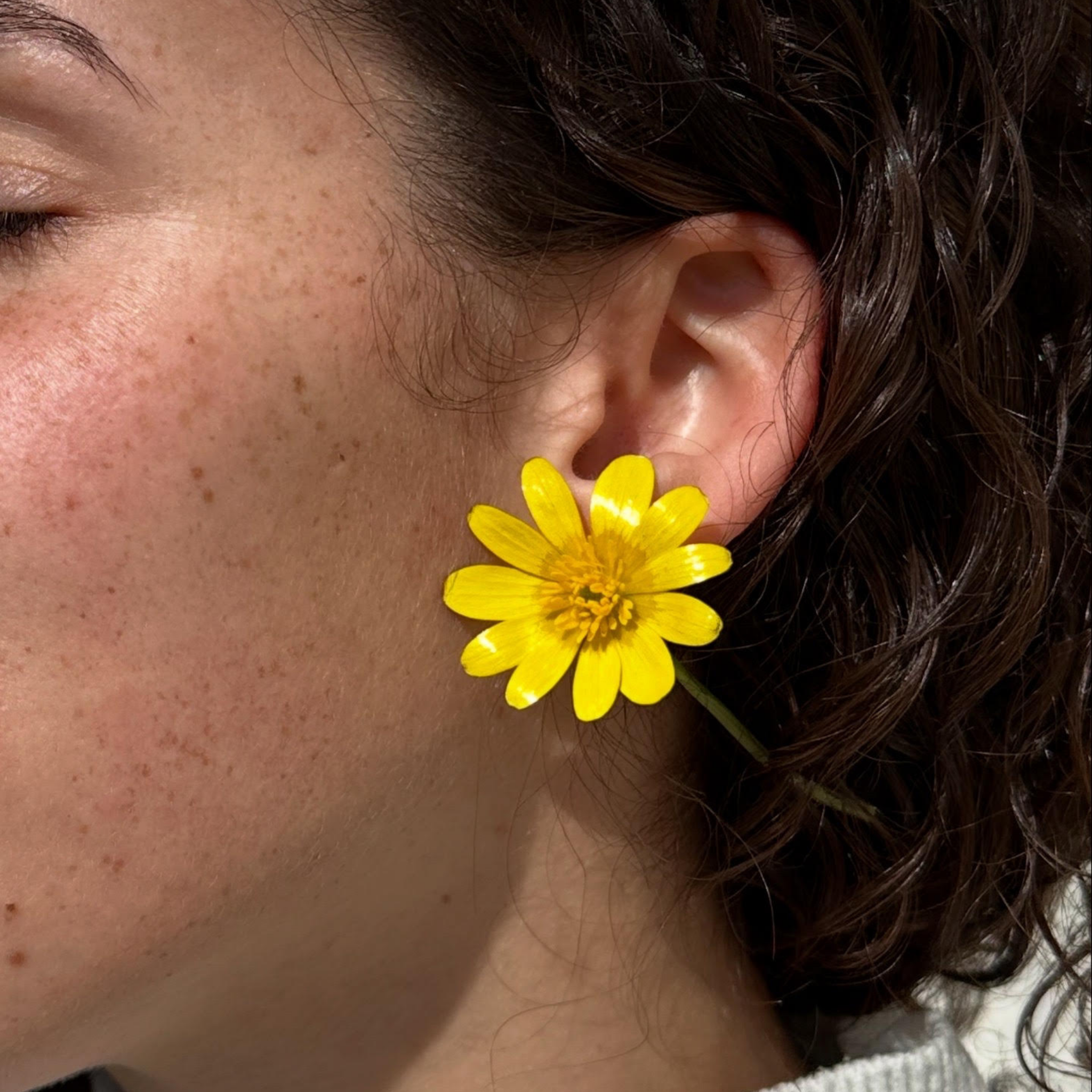 Les créoles Verna - Interchangeables