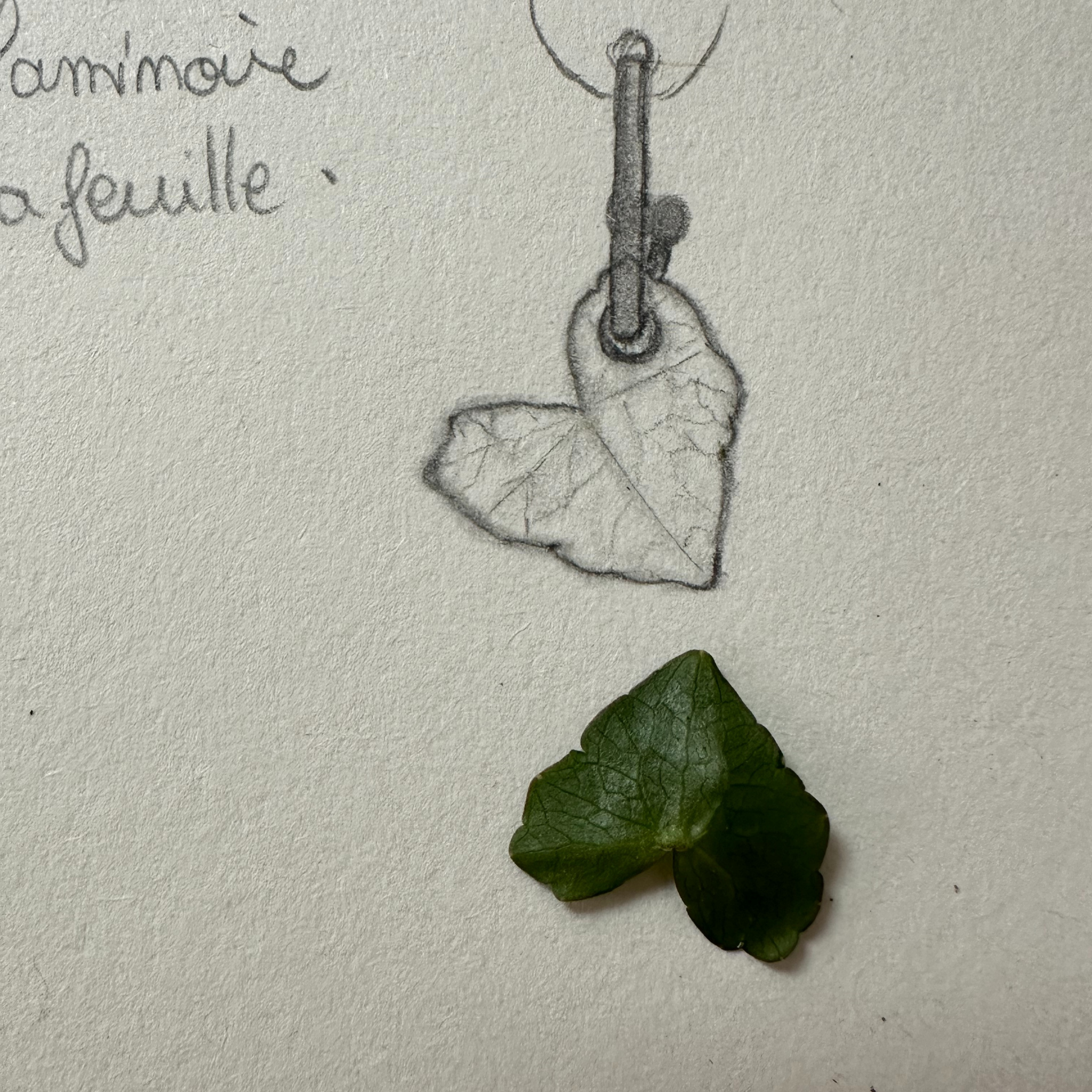 Les créoles Verna - Interchangeables