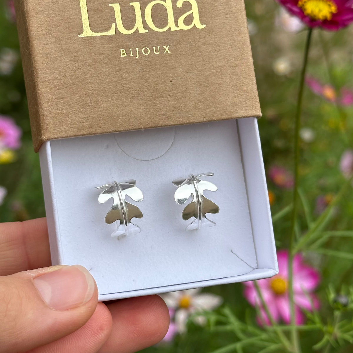 Mini‑créoles  - Phlebodia