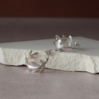 Mini‑créoles  - Phlebodia